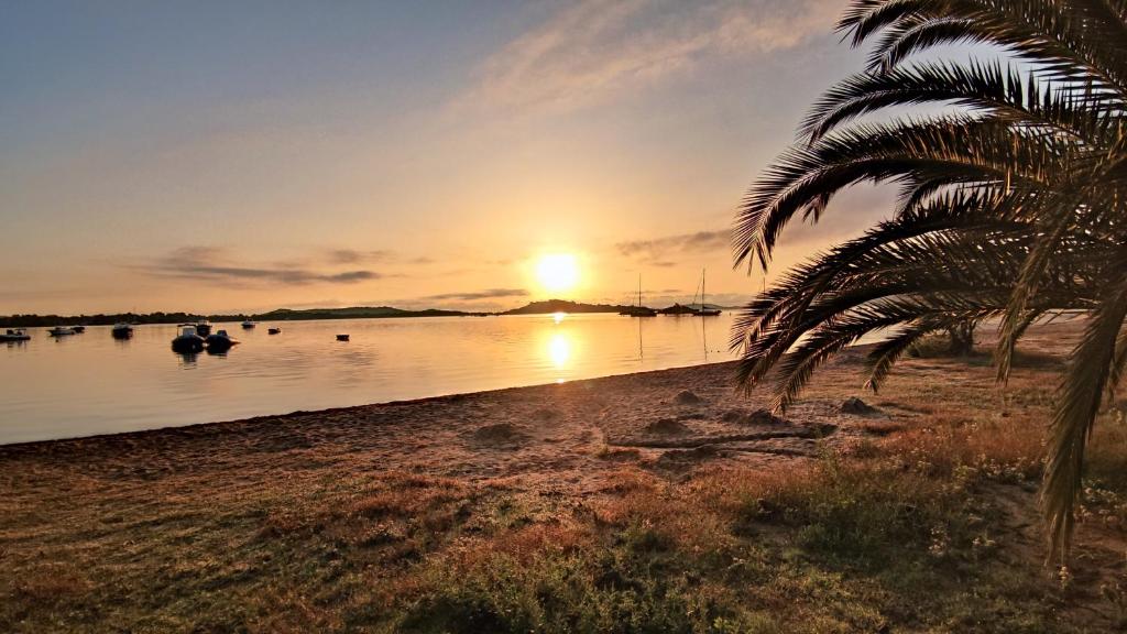 a beach with a palm tree and a sunset at Camping La Baie des Voiles in Porto-Vecchio