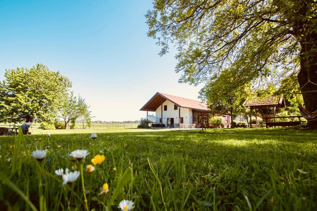 ein Haus auf einem Feld mit Blumen im Gras in der Unterkunft Sonnenblumenhof in Mühlheim