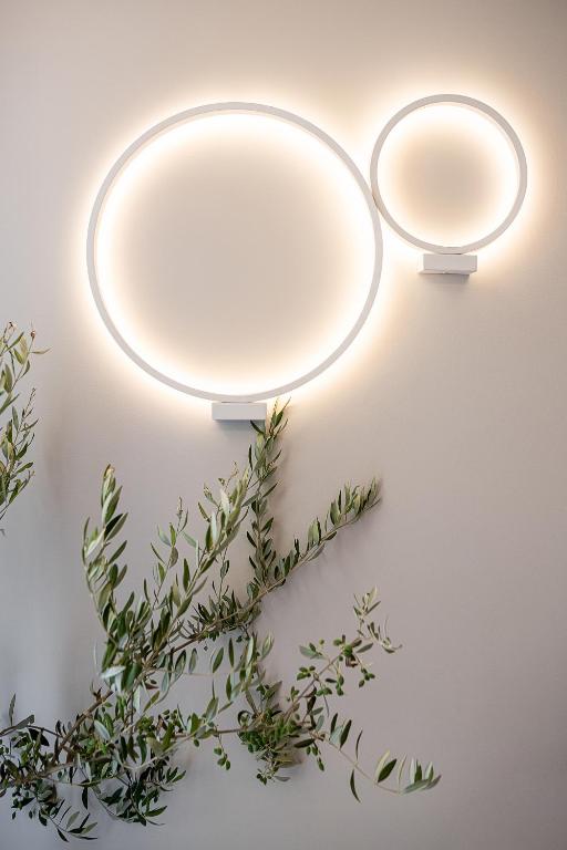 Elia Erato - Resim 21