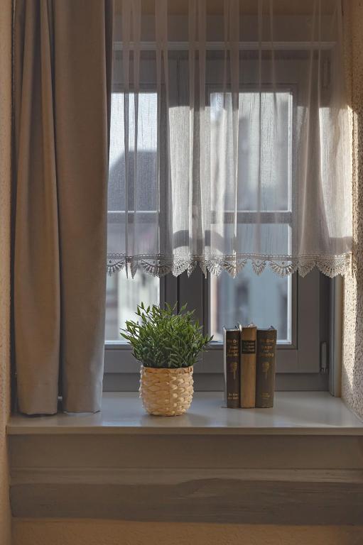 Foto sihtkohas Mühlhausen asuva majutusasutuse Hotel Mühlhäuser Hof galeriist