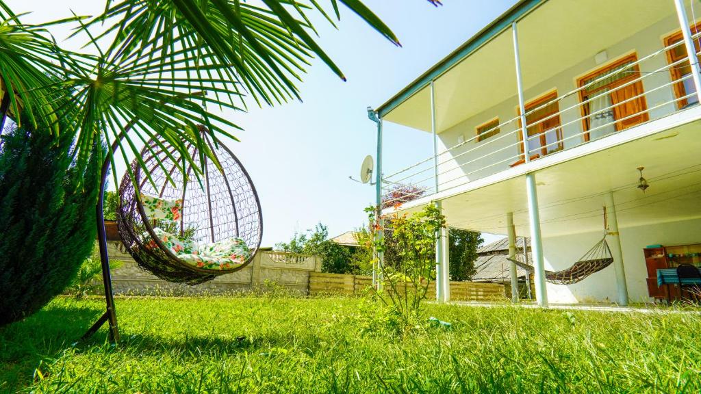 una casa con amaca nell'erba vicino a una palma di Guesthouse Vashlovani a Lagodekhi