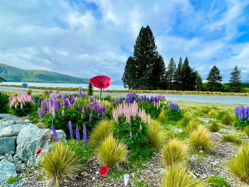 Alice Garden, Lake Tekapo – Updated 2024 Prices