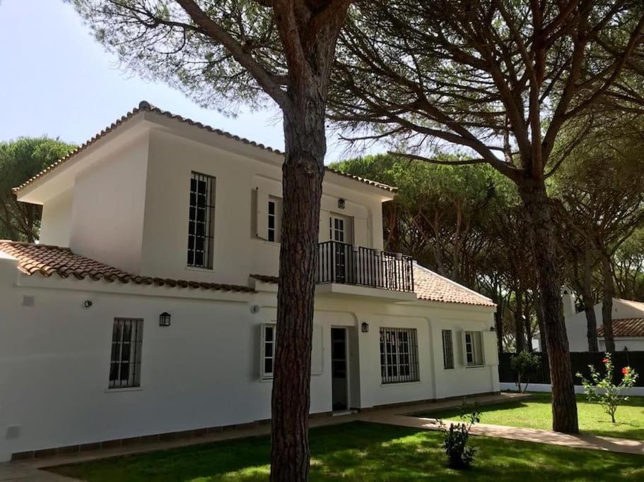 ROCHE, Roche Updated 2023 Prices