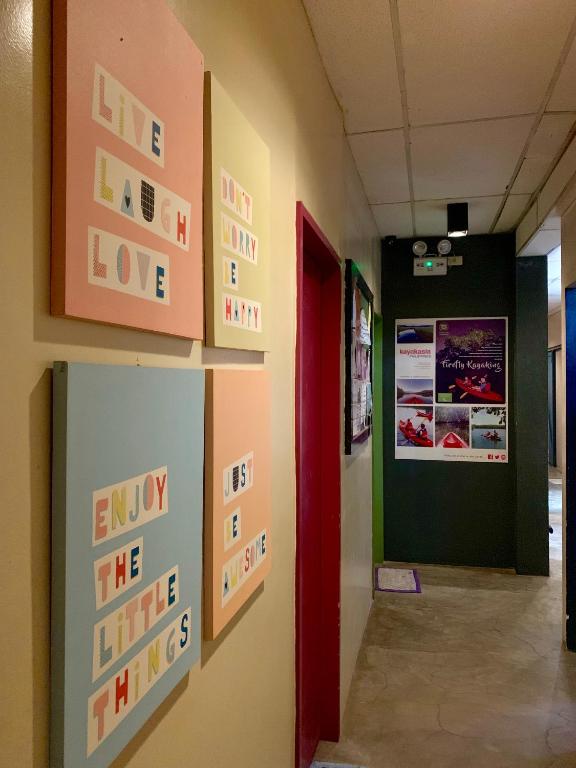 Fotografie z fotogalerie ubytování Moon Fools Hostel v destinaci Panglao
