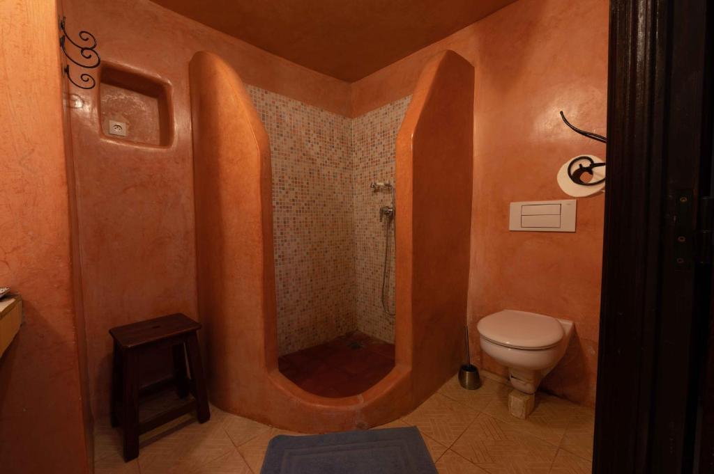 y baño con ducha y aseo. en Touda Ecolodge Atlas Mountains, en Zawyat Oulmzi