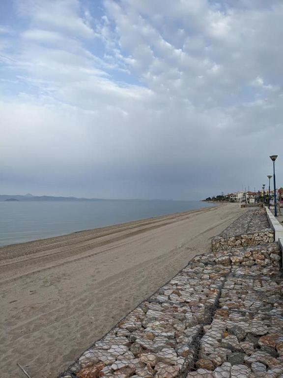 Fotografia z galérie ubytovania ΚΑΙΤΗ 2 v destinácii Polychrono