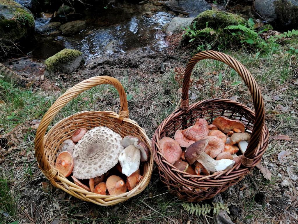 Fotografia z galérie ubytovania Casa Siete Picos v destinácii Torrecaballeros