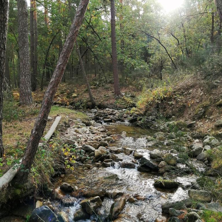 Príroda v okolí dovolenkového domu