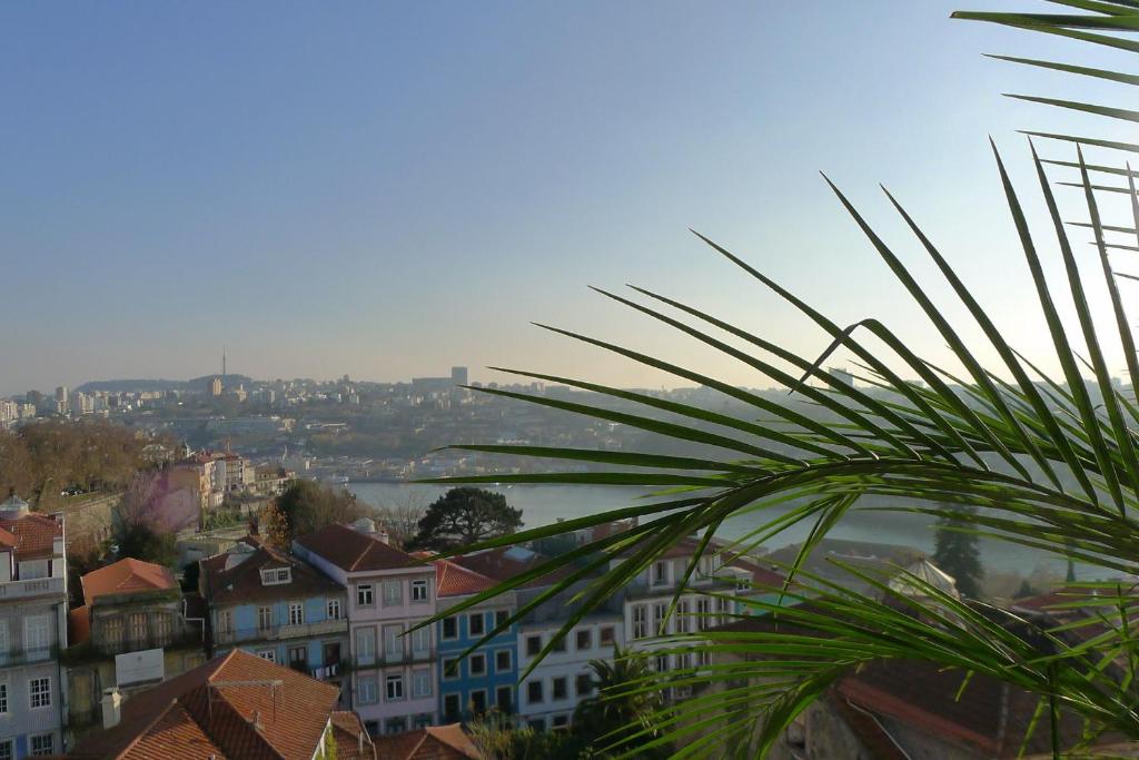a view of a city with buildings and a palm tree at LV Premier Apartments Clerigos- RE1 in Porto