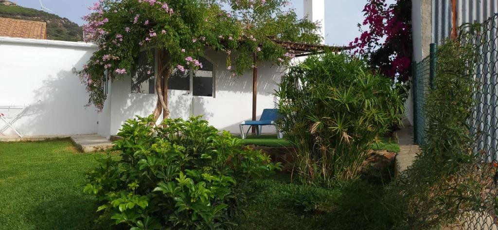 un jardín con una silla azul y algunas plantas en Rancho Blanco Tarifa La peña, en Tarifa