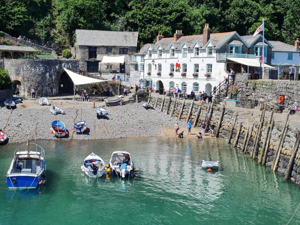 two boats are docked in the water next to a building at Red Lion Hotel in Clovelly