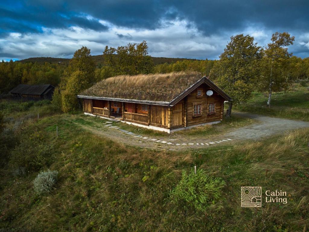 una cabaña de madera con techo de césped en un campo en Solid and cozy cottage in a secluded location en Beitostøl