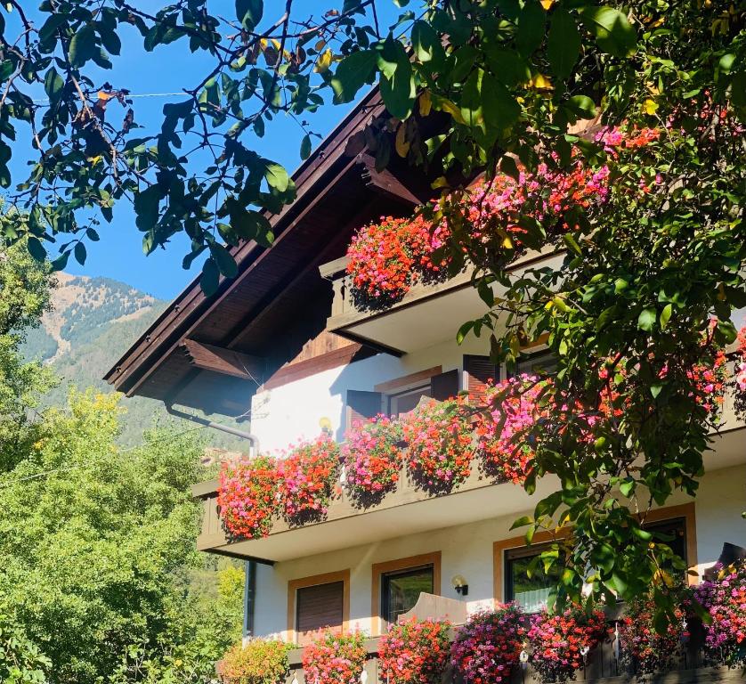 Nespecifikovaný výhled na hory nebo výhled na hory při pohledu z bed and breakfast