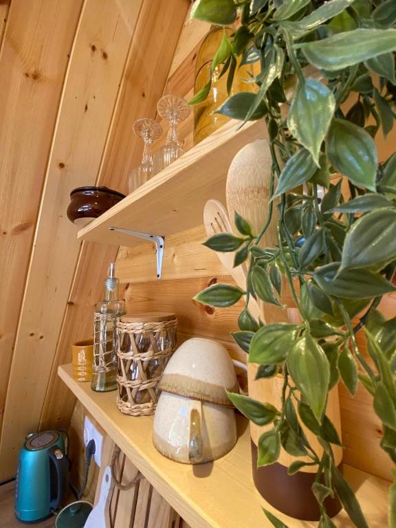 Fotografie z fotogalerie ubytování Roots Svaneti ' რუთს სვანეთი v destinaci Lentekhi
