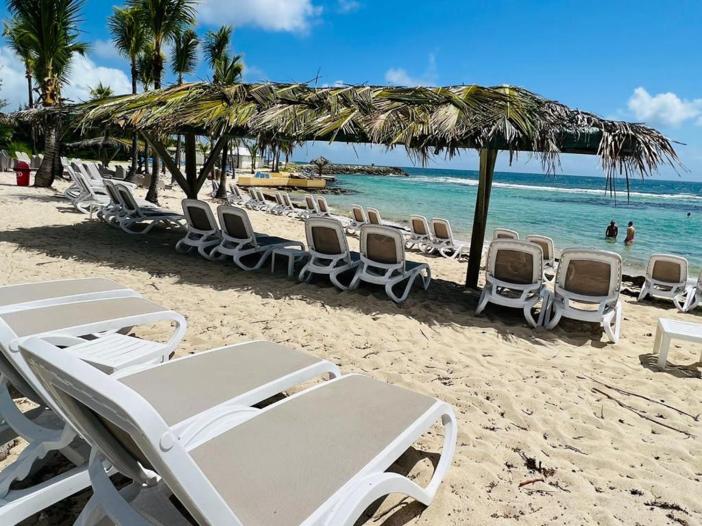 - un groupe de chaises longues et de parasols sur une plage dans l'établissement APPARTEMENT ARC EN CIEL 3 PIECES AVEC ACCES PISCINE et PLAGE, à Saint-François