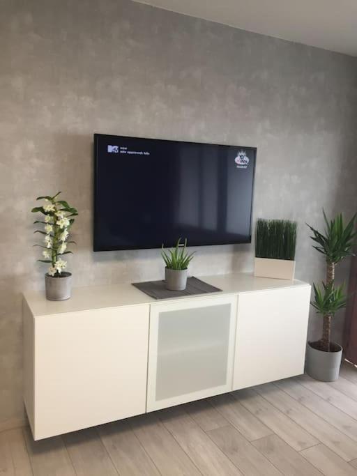 a flat screen tv on a white cabinet with potted plants at Modern eingerichtetes Apartment Nähe Hauptbahnhof in Braunschweig