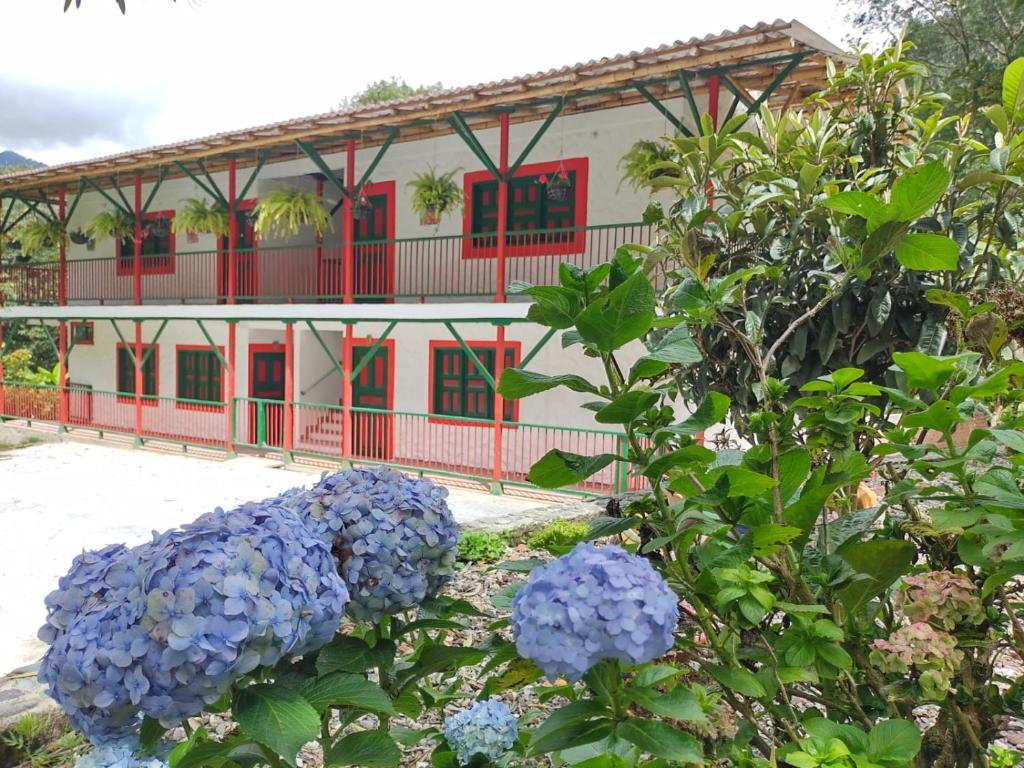 Zahrada ubytování Casa Flórez Hotel Campestre