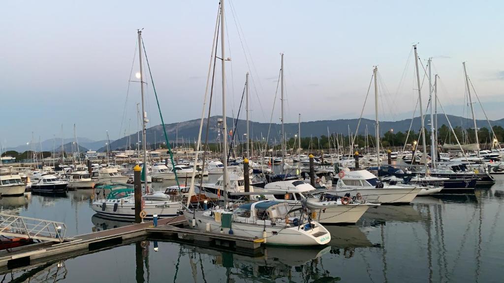 Ein Haufen Boote, die in einem Hafen angedockt sind. in der Unterkunft Apartamento Puerto Deportivo Marina de Santander in Santander