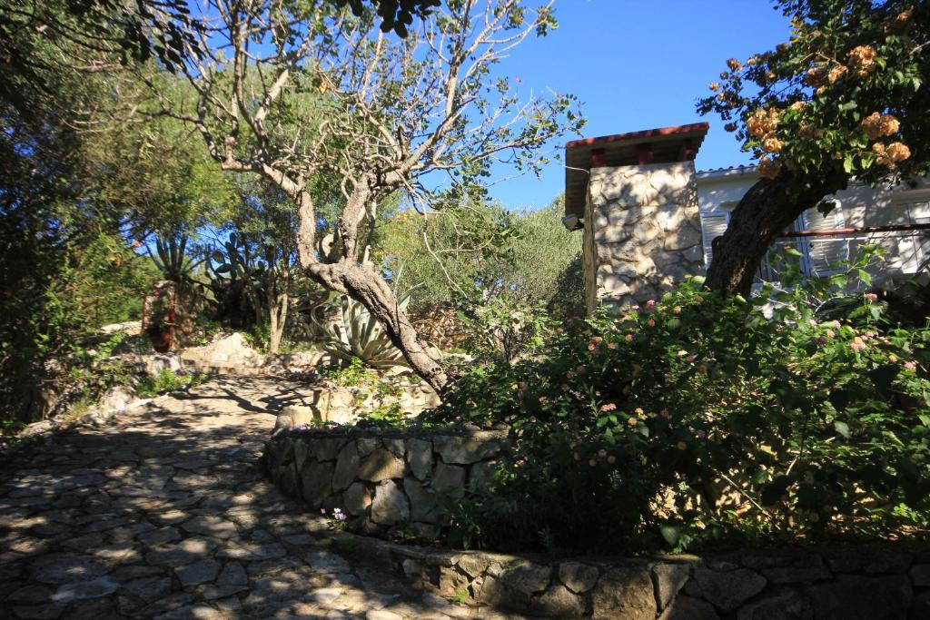 Fotografia z galérie ubytovania Seaside holiday house Cove Rogacic, Vis - 8886 vo Vise