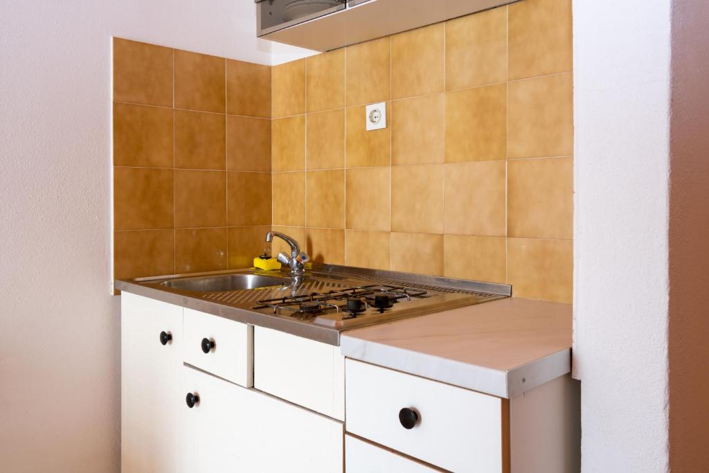 Kuchyňa alebo kuchynka v ubytovaní Apartment Mandre 4101a