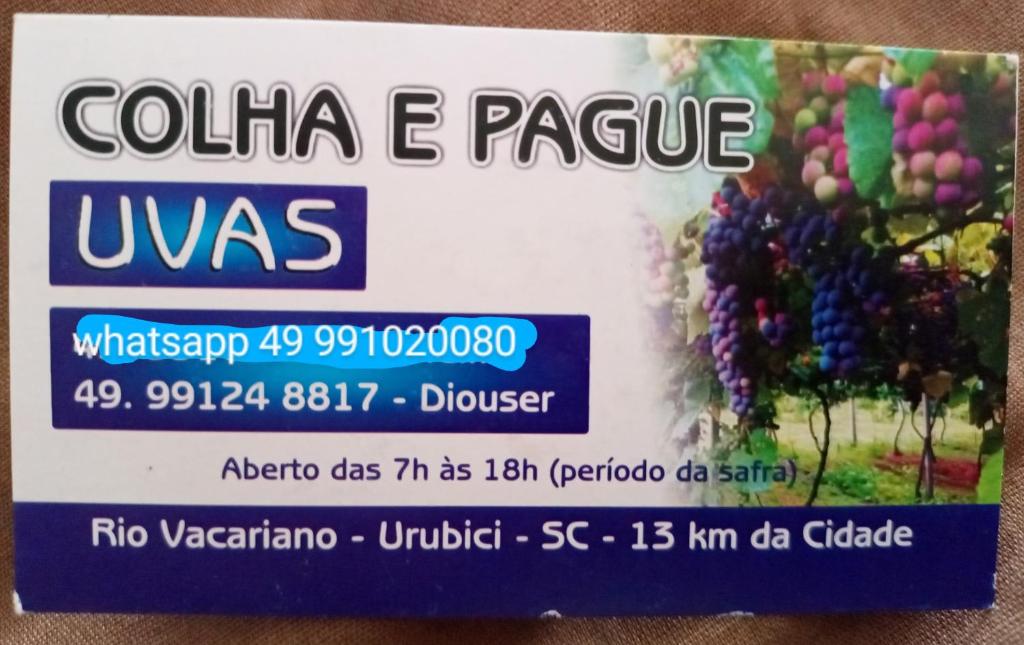 Cabana Uva Niágara - Casa Con Due Camere Da Letto