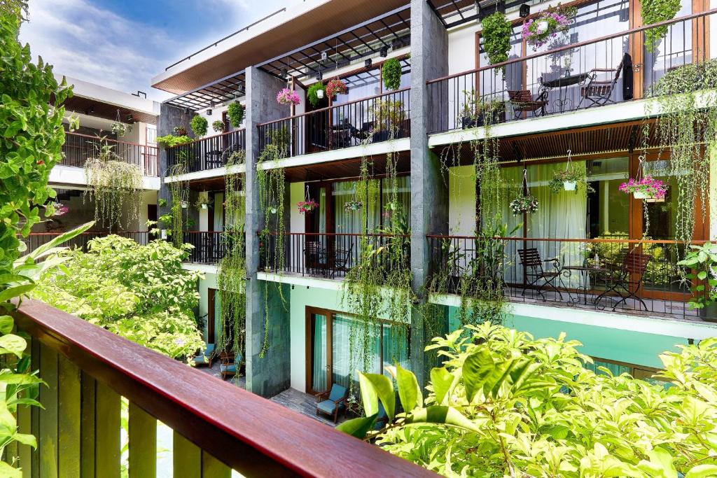 Vườn quanh Tam House Villa Hotel