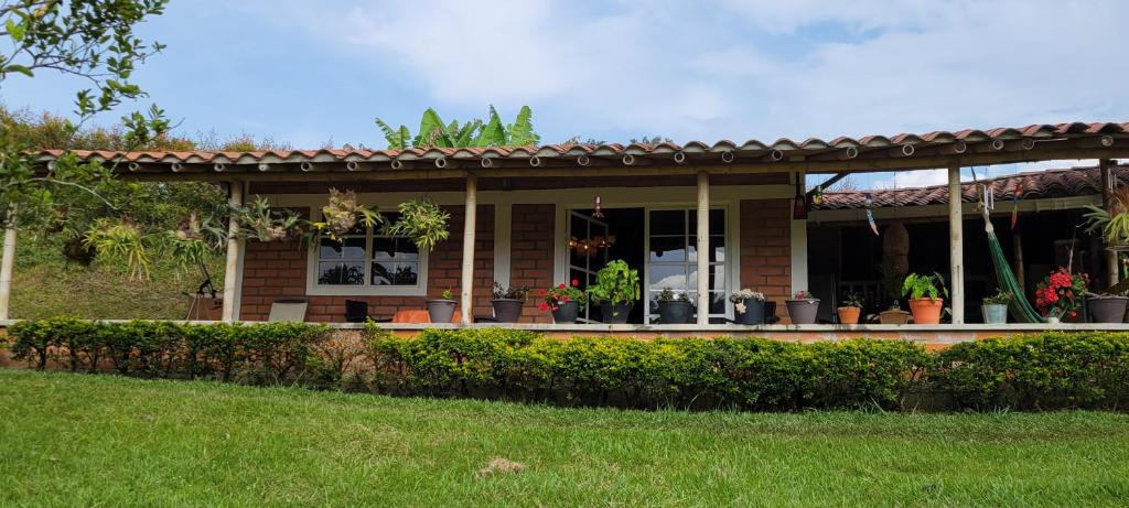 une maison avec une terrasse couverte ornée de plantes en pot dans l'établissement Finca El Peñol, à Guatapé