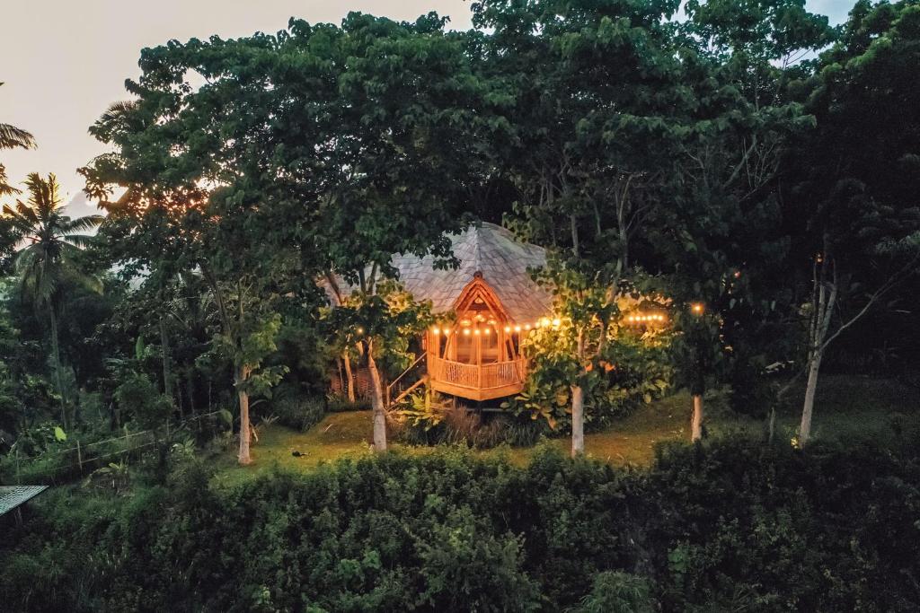 卡朗阿森的住宿－Bird Hills Bamboo House，森林中间的树屋