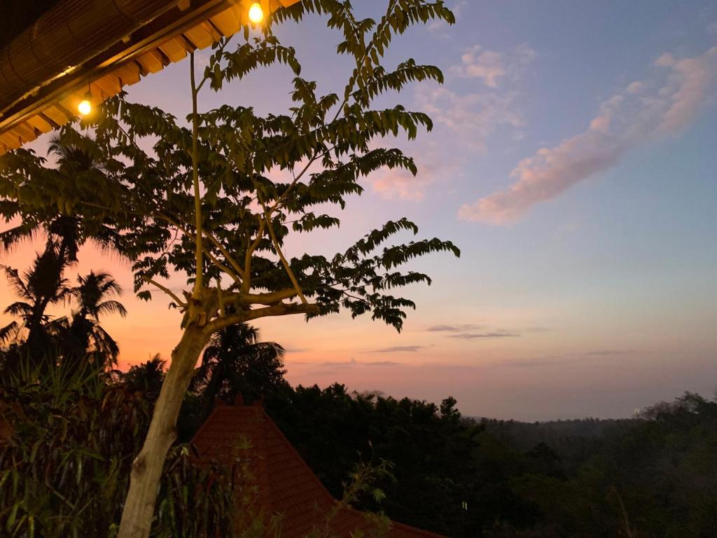 a tree in the foreground with a sunset in the background at Villa Kepuh in Singaraja