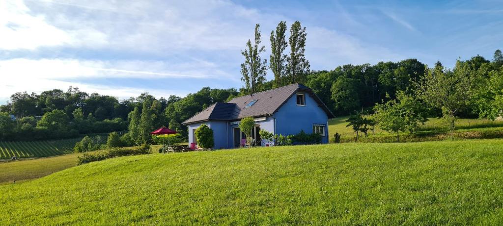 a blue house on a hill in a green field at Chambres d'Hôtes Relais Milord in Estialescq