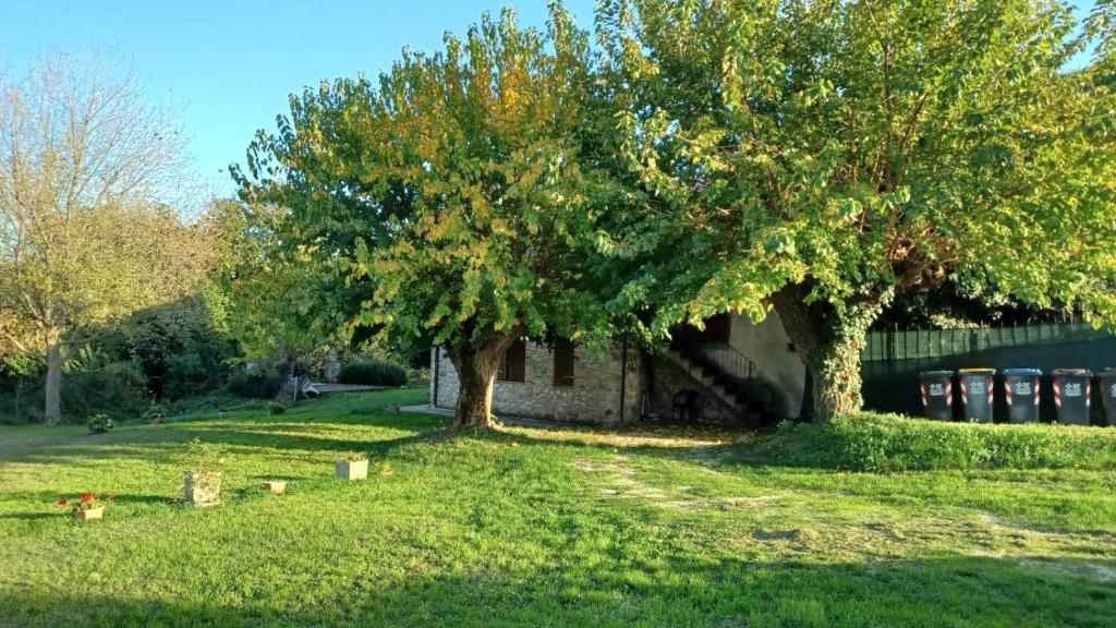 Zahrada ubytování Agriturismo Canonici