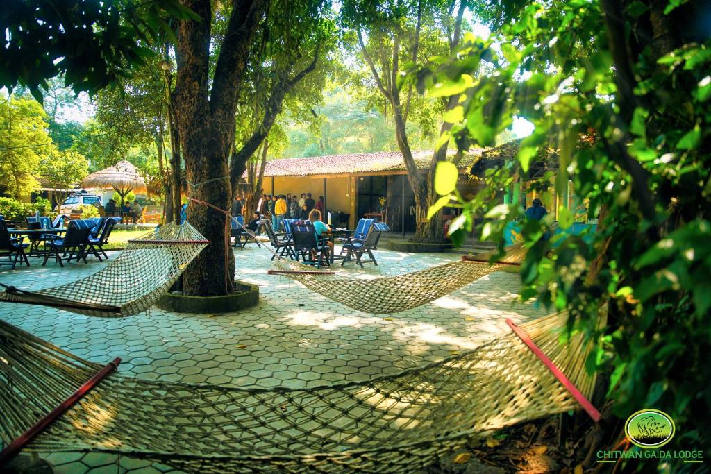 eine Terrasse mit Stühlen, Tischen und Bäumen in der Unterkunft Chitwan Gaida Lodge Pvt. Ltd. in Sauraha