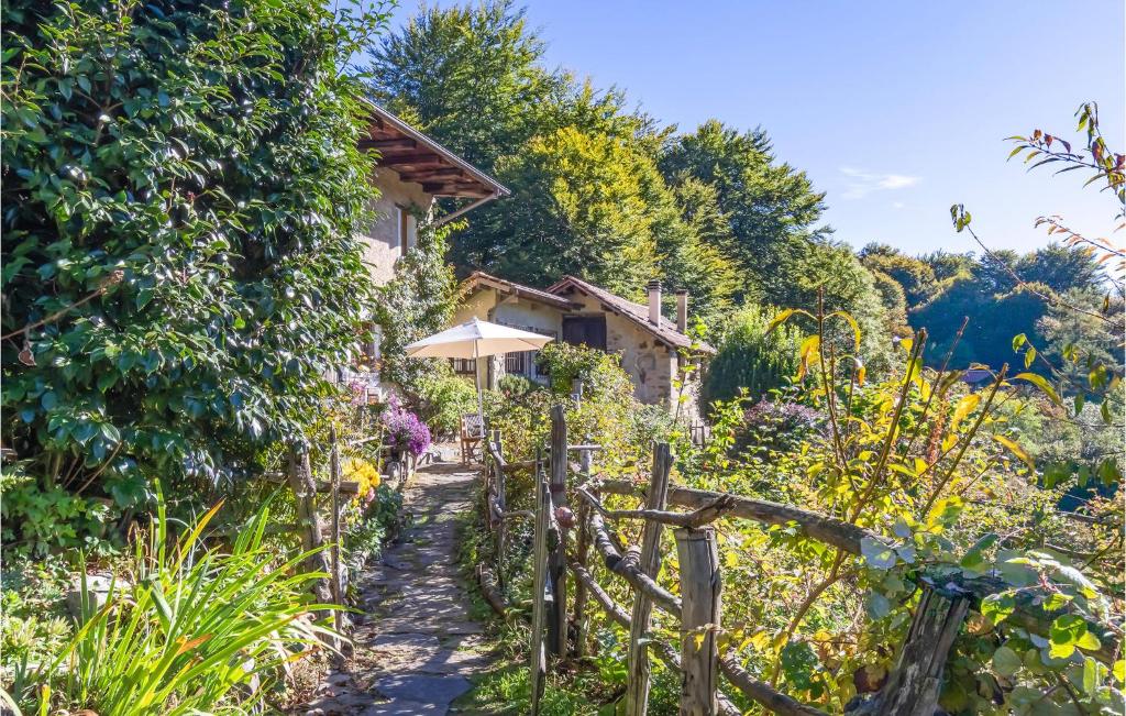 A garden outside Cottage Ginestre