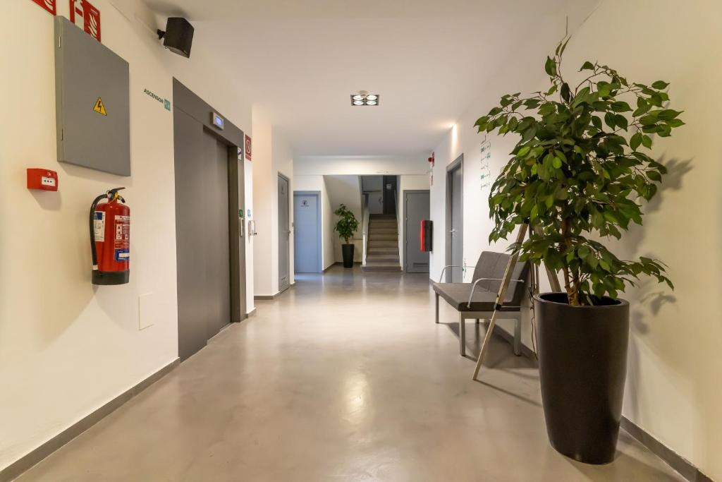 Fotografie z fotogalerie ubytování Albergue Inturjoven Cazorla v destinaci Cazorla