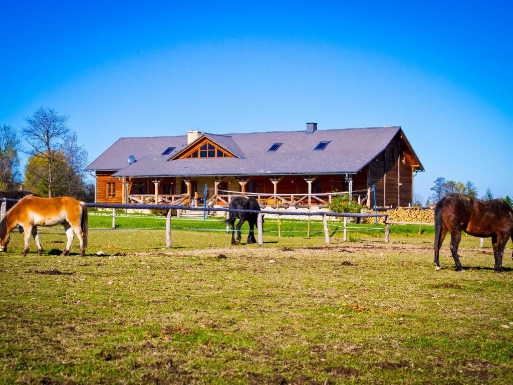 a group of horses grazing in a field in front of a barn at Karkonoskie Siodło in Kostrzyca