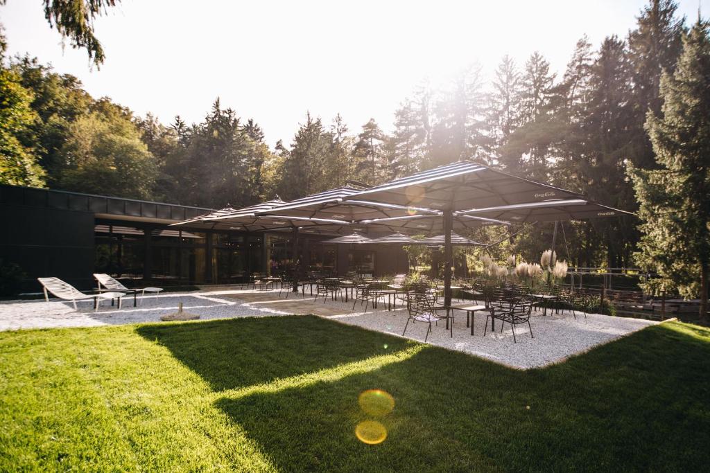 Zahrada ubytování Luxury glamping Chocolate village