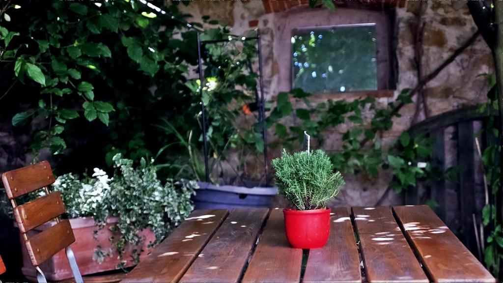 Zahrada ubytování Das Blümchen
