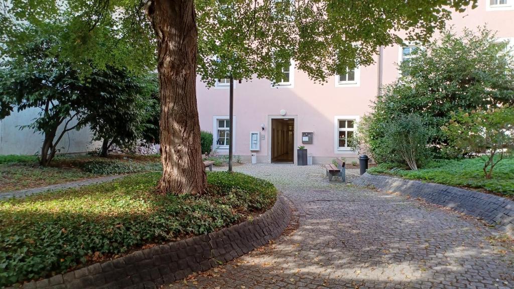 un árbol frente a un edificio rosa en Gästehaus der Katholischen Akademie en Regensburg