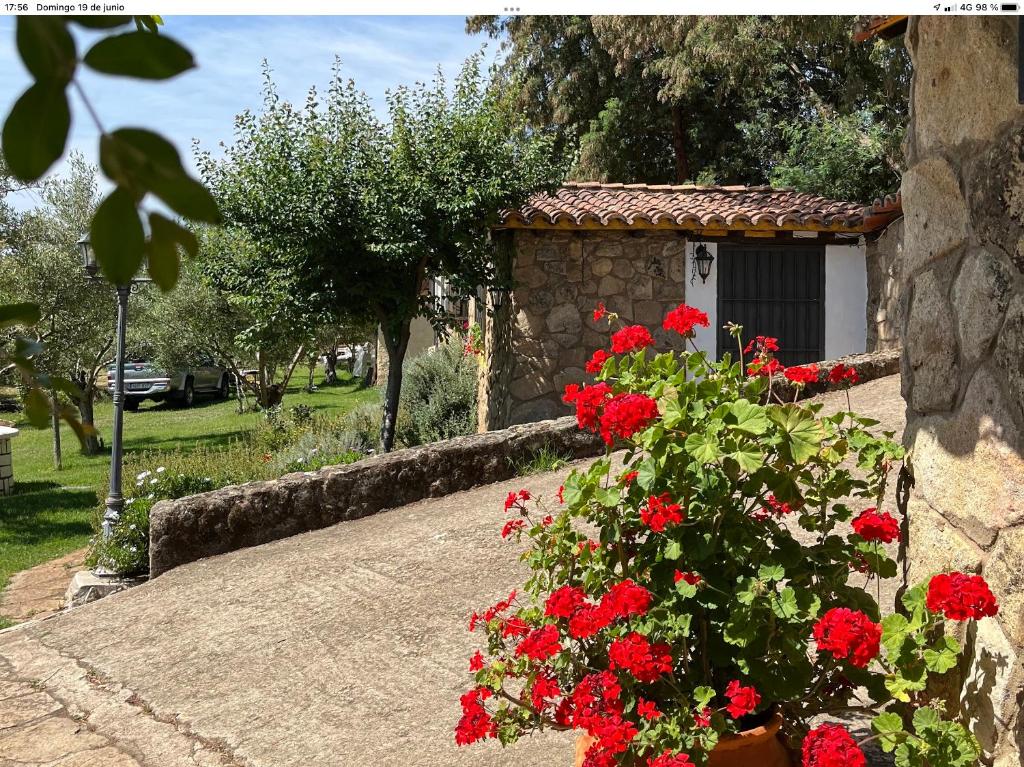 Zahrada ubytování Finca Vergel