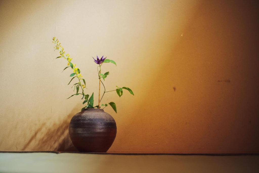 Fotografie z fotogalerie ubytování Ryokan Motonago v Kjótu