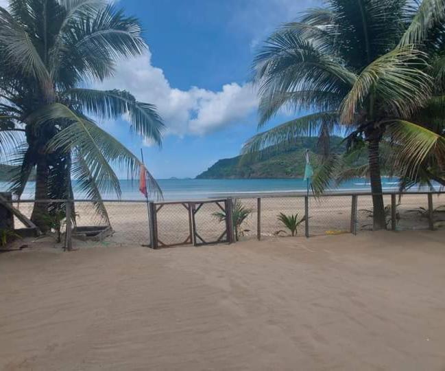 a picnic table on a beach with two palm trees at Bucana beachfront guesthouse in El Nido
