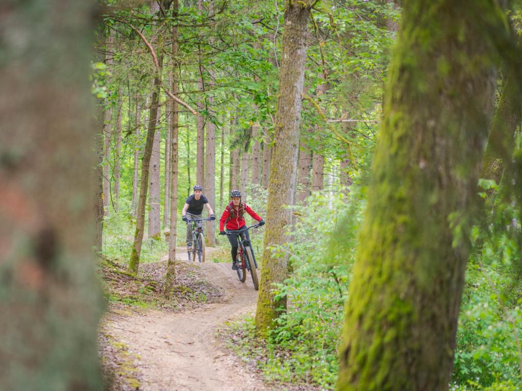 Hosté ubytování Talstation Heumöderntal