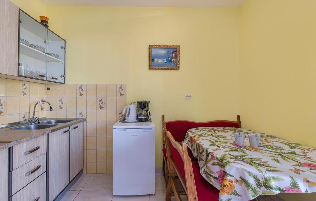 Kuchyň nebo kuchyňský kout v ubytování Apartments Nusha