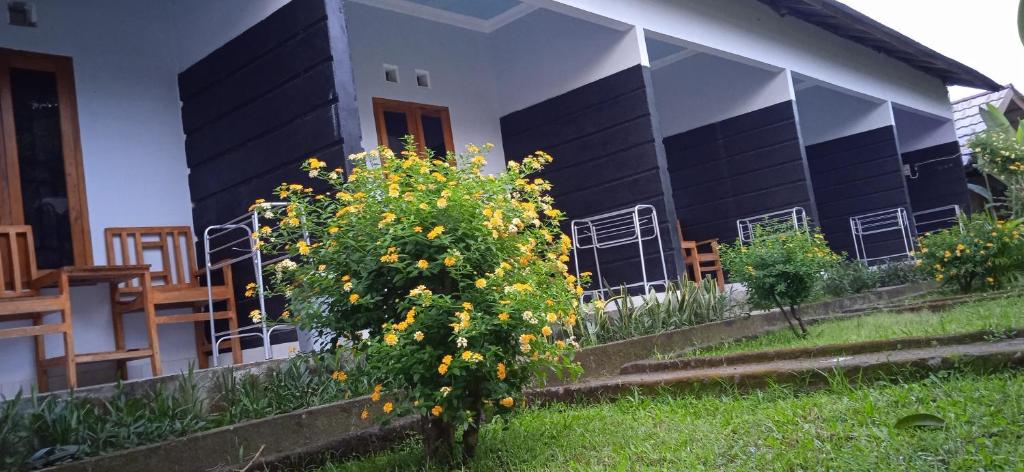 Κήπος έξω από το Anak Rinjani Guest House