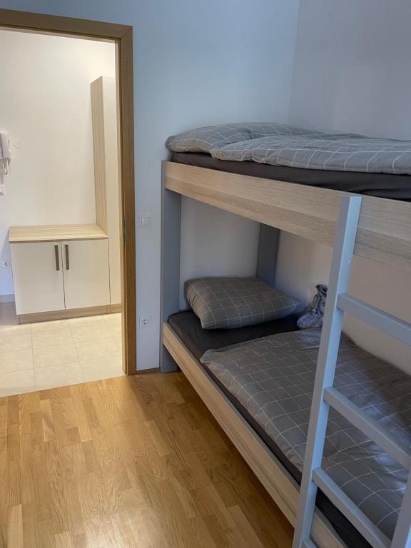 Palanda nebo palandy na pokoji v ubytování Luxury 3-room large Apartment Maribor Pohorje