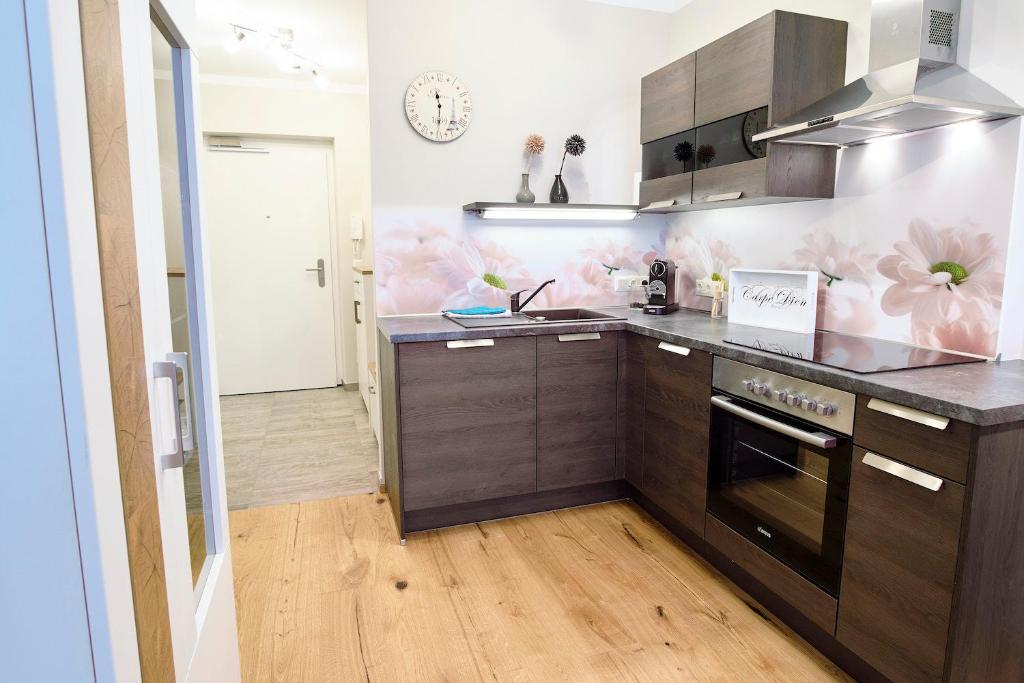 Кухня или мини-кухня в Kaiser Apartments - Wohnpark Graz-Gösting
