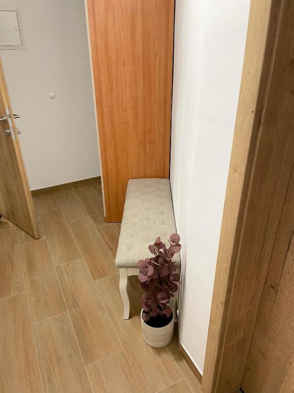 Fotografie z fotogalerie ubytování Rooms Balkovec v destinaci Dragatuš