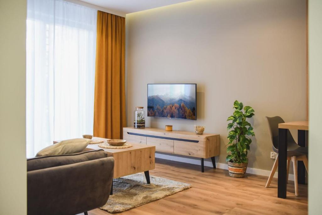 een woonkamer met een bank en een tv bij Apartament 3B in Przemyśl