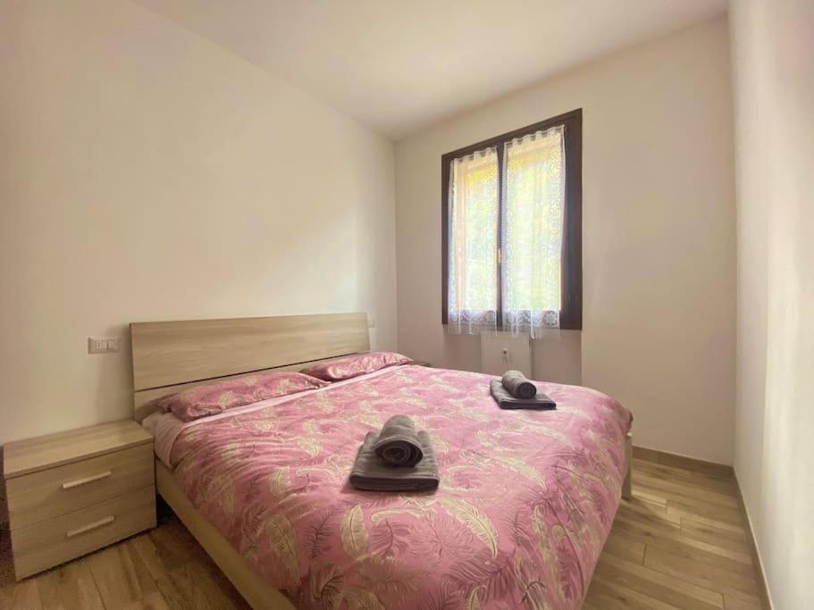 1 dormitorio con 1 cama con manta rosa y ventana en [FREE WIFI] Elegante bilocale vicino alle piste, en Scopello