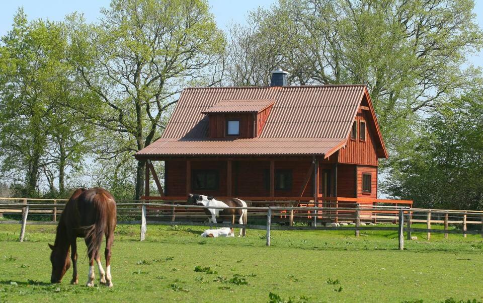 gemütliches Ferienhaus in der Natur - Housity